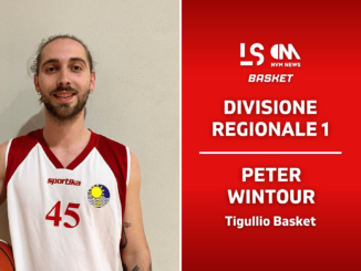 Wintour Peter Tigullio Basket